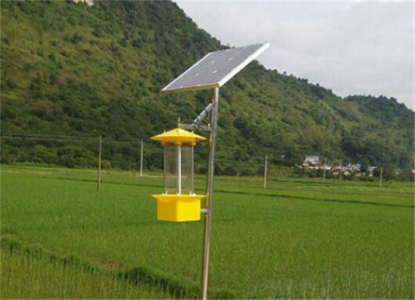 河南太阳能杀虫灯 河南太阳能杀虫灯